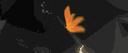 Arabian Store banner