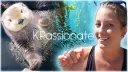 KP's Community Discord banner
