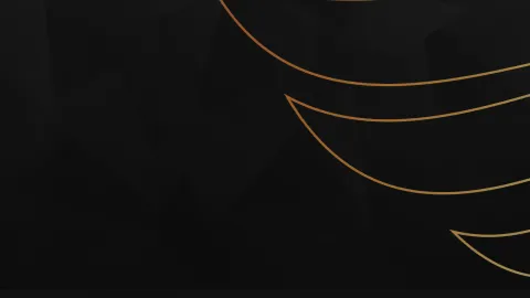MLK server banner