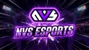 NVS Hub banner