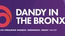 Dandy In The Bronx Banner