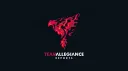 TEAM ALLEGIANCE banner