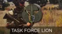 Task Force Lion banner