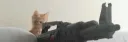 ★ 𝐒𝐨𝐮𝐫 𝐂𝐚𝐬𝐡 ★ banner