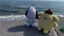 sanrio.app banner