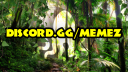 Squid's Hideout 🗿🌴 Discord server banner