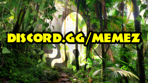 Squid's Hideout 🗿🌴 Discord server banner