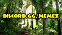 Squid's Hideout 🗿🌴 Discord server banner
