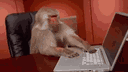 Garnuchy 🐵 banner