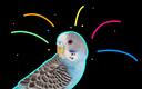 The Official Budgie Server Banner