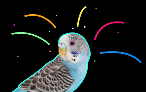 The Official Budgie Server banner