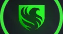 Falcons Scrims banner