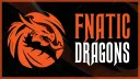 Fnatic Dragons banner