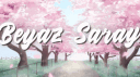 Beyaz Saray banner