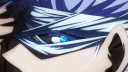 roncaria banner