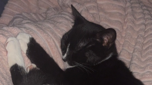 snafu ๐ง Discord server banner