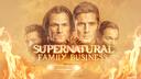 Supernatural - The Family Business Banner
