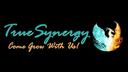 TrueSynergy Banner