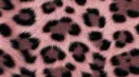 Blush¹⁸⁺ Discord server banner