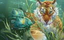 TYGRYSY KAMSTARA banner