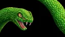 Riddle 🐍 banner