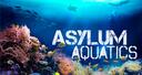 Asylum Aquatics Banner