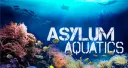 Asylum Aquatics banner