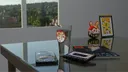 banner