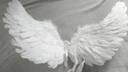 heavn Banner