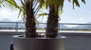 La Terrasse banner