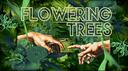Flowering Trees Banner