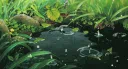 ᘏ﹒𝐓𝐒𝐔𝐃𝐔𝐌𝐈 𝐀𝐂𝐀𝐃𝐄𝐌𝐘 ╮ Discord server banner