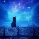  Under The Stars  Banner