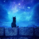 ✾ Under The Stars ✾ Discord server banner