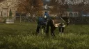 Evergarden Equestrian banner