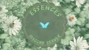 essences server banner