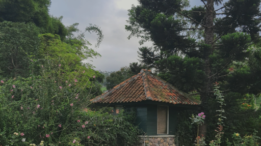 Celestrial Boundaries Discord server banner