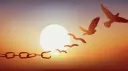 Esprits Libres banner