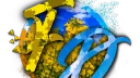 DIE "FARMING DUD'S" banner