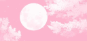 Aurora. ៸៸  ˚ Discord server banner