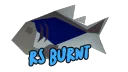 RS Burnt banner