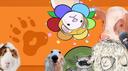 Tierfreunde Vegan  Banner