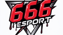 666 ESPORTS banner