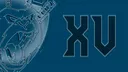 COMP Gorilla Tag banner