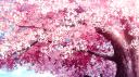 ᯓTAFFETA PG ⁺¹⁸ ⋮   Nsfw . Social . H Games . Anime .   .ᐟ.ᐟ Banner