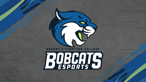 BSC Bobcats VA banner