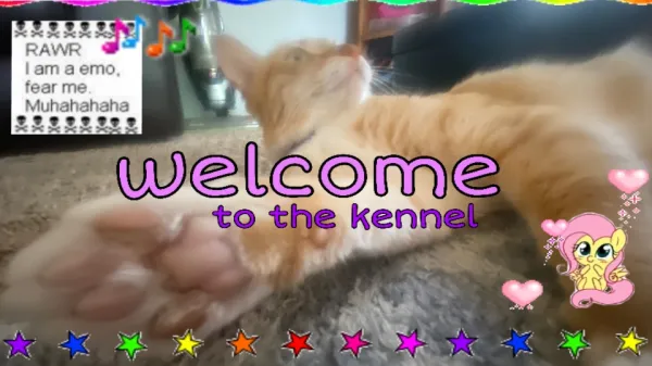 banner