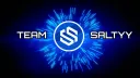 TEAMSALTYY banner