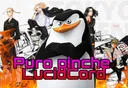 LucidCord banner