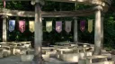 ˚⊱🍎⊰˚ Camp Half-Blood Discord server banner